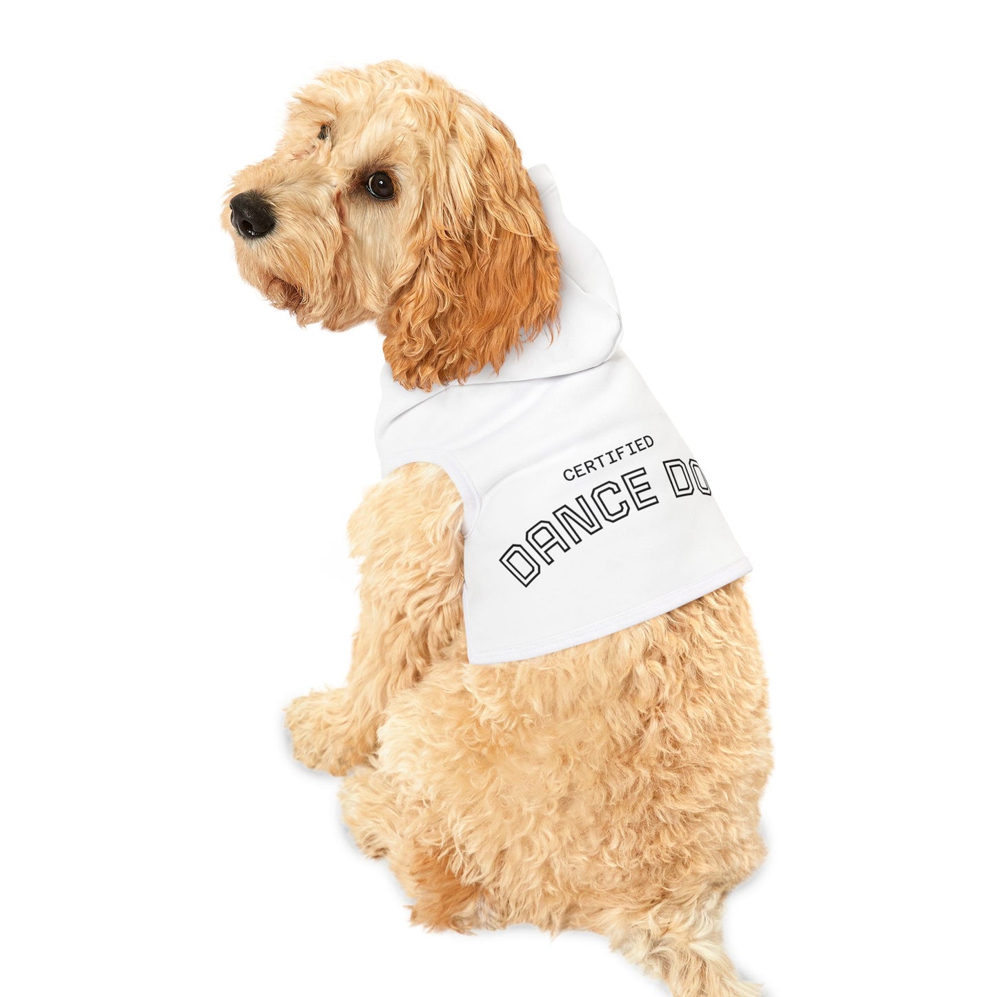 Certified Dance Dog Hoodie